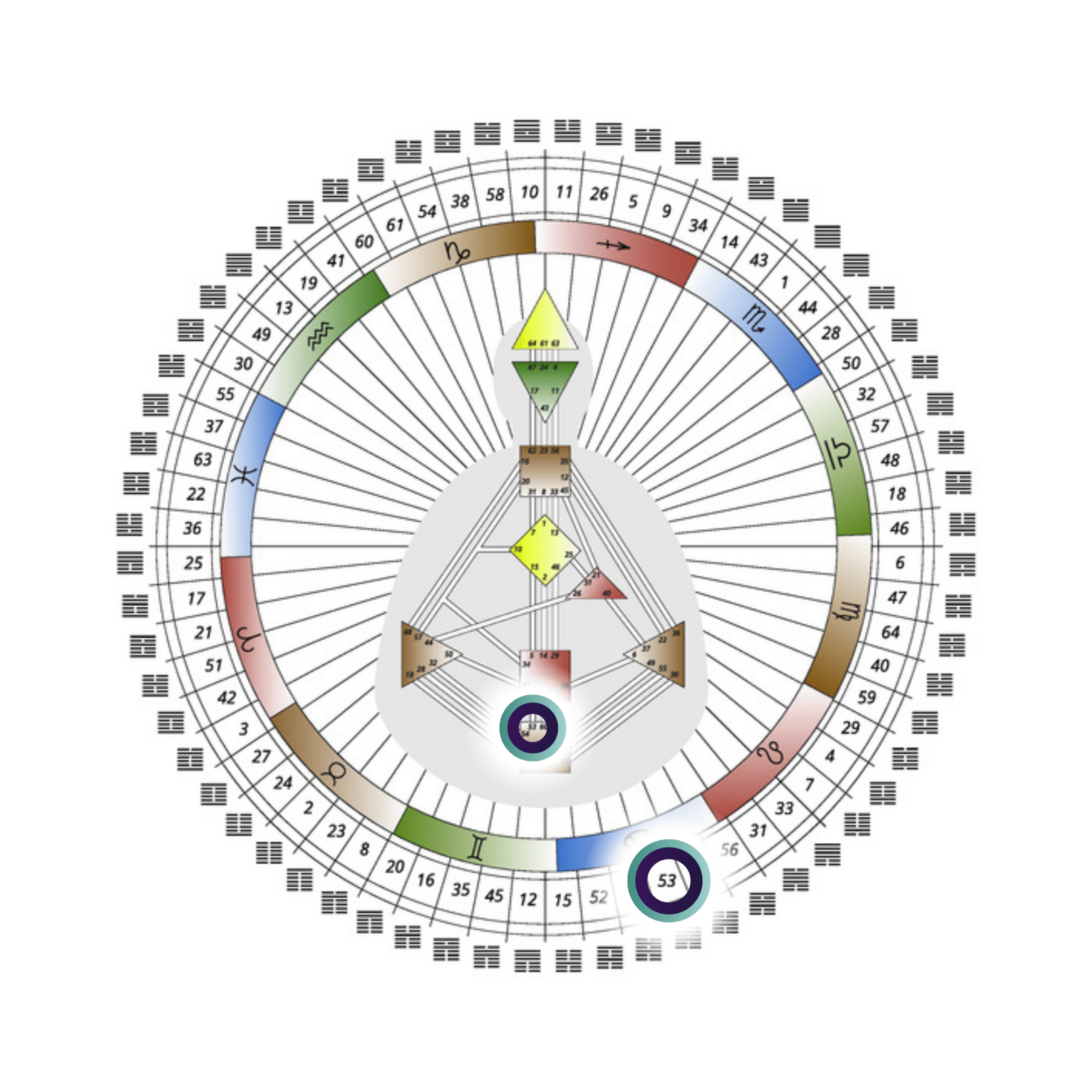 70.102_PW_Pippa Wilford_Human Design Graph with Highlight