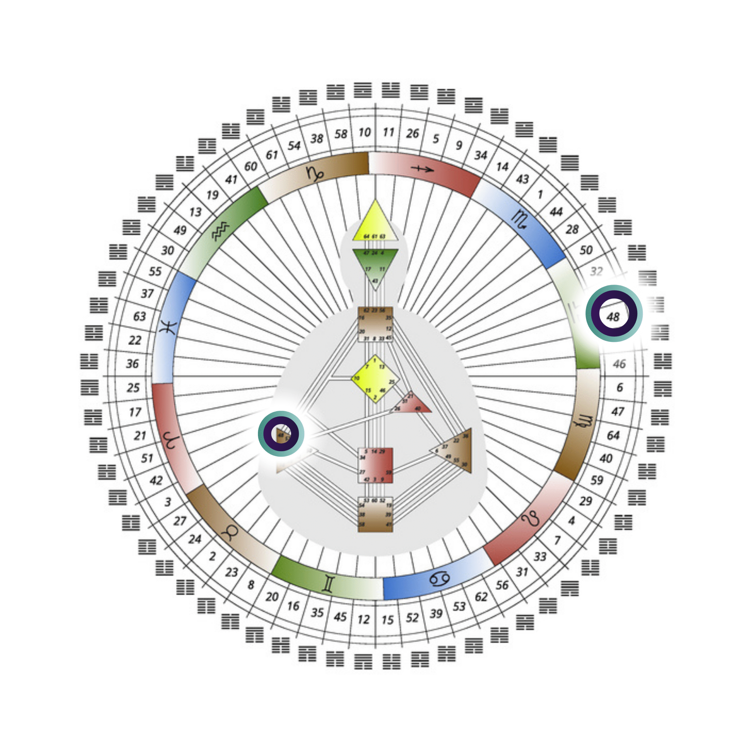 70.102_PW_Pippa Wilford_Human Design Graph with Highlight (2)