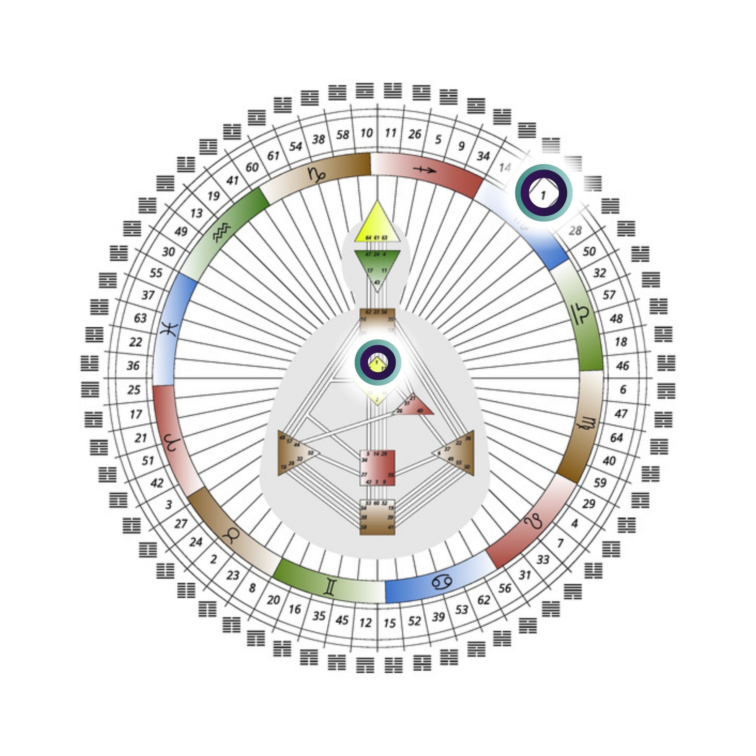 70.102_PW_Pippa Wilford_Human Design Graph with Highlight (2) (1)