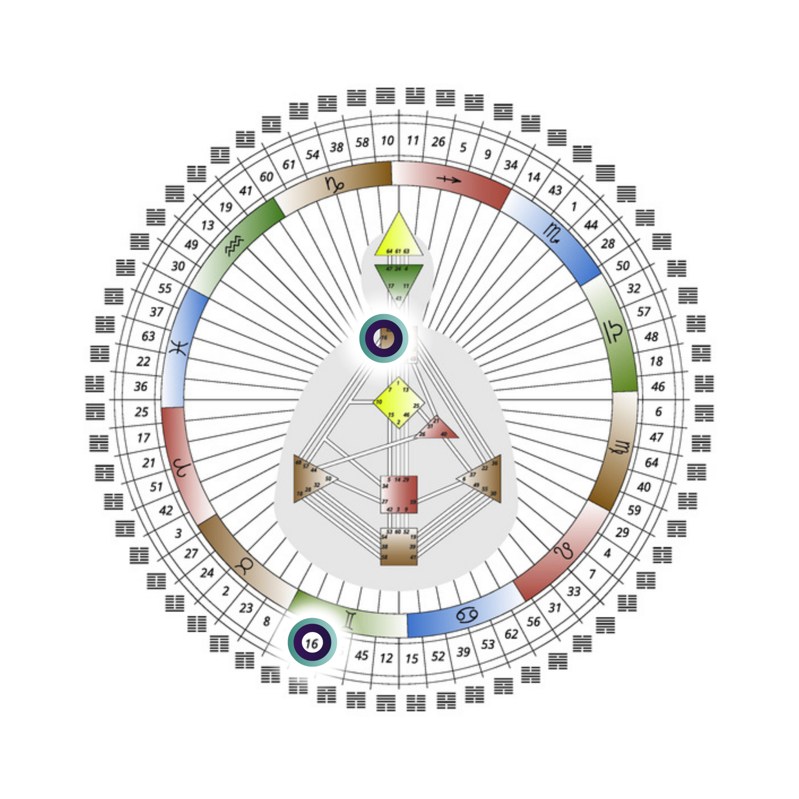 70.102_PW_Pippa Wilford_Human Design Graph with Highlight (4)
