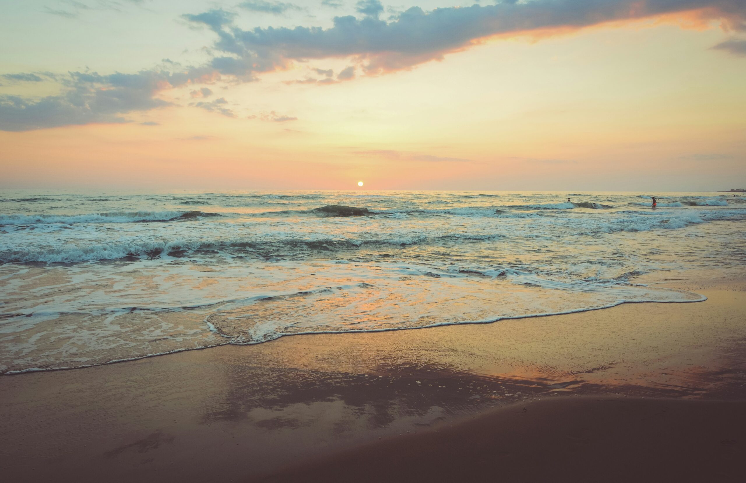 camille-minouflet-d7M5Xramf8g-unsplash